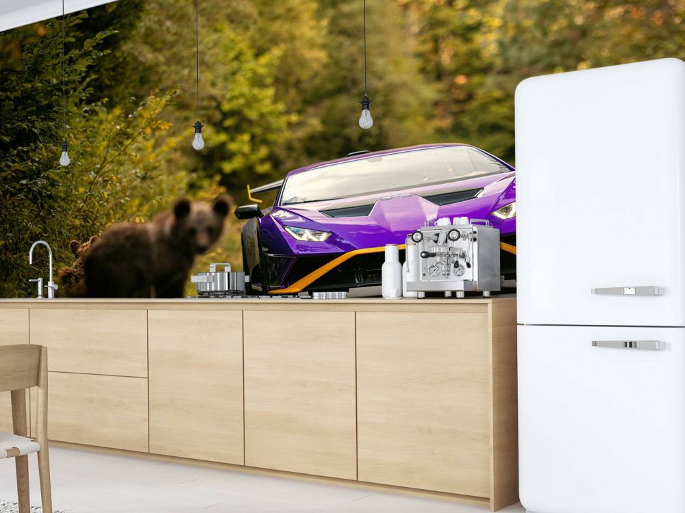 Lamborghini vs. wildernis