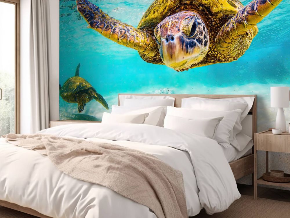 Zeeschildpad in de oceaan
