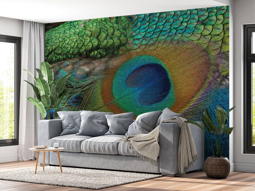 Pauwenveren op fotobehang
