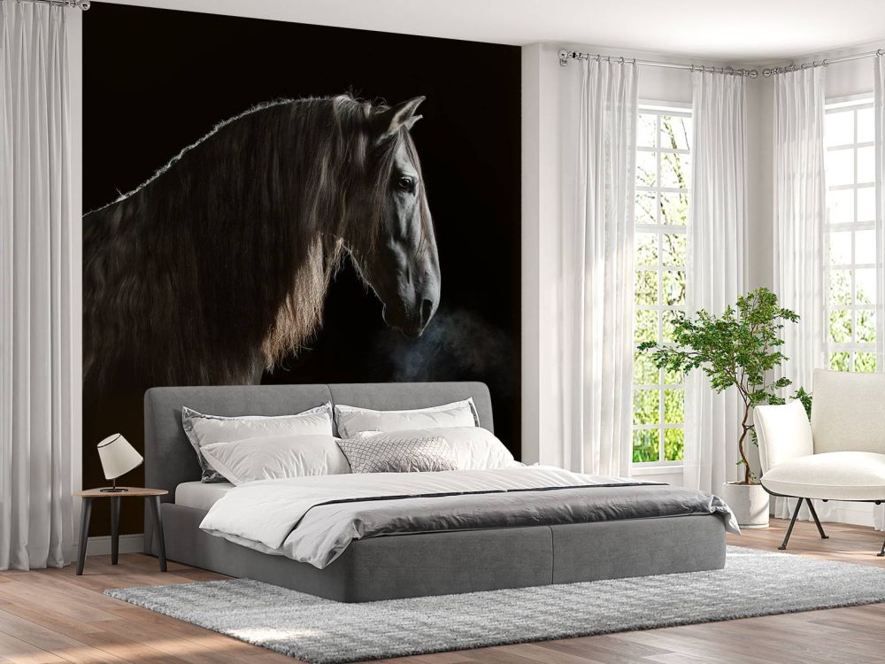 Schimmel met zwarte achtergrond