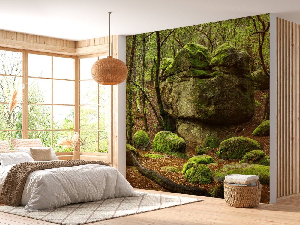 Betoverend bos