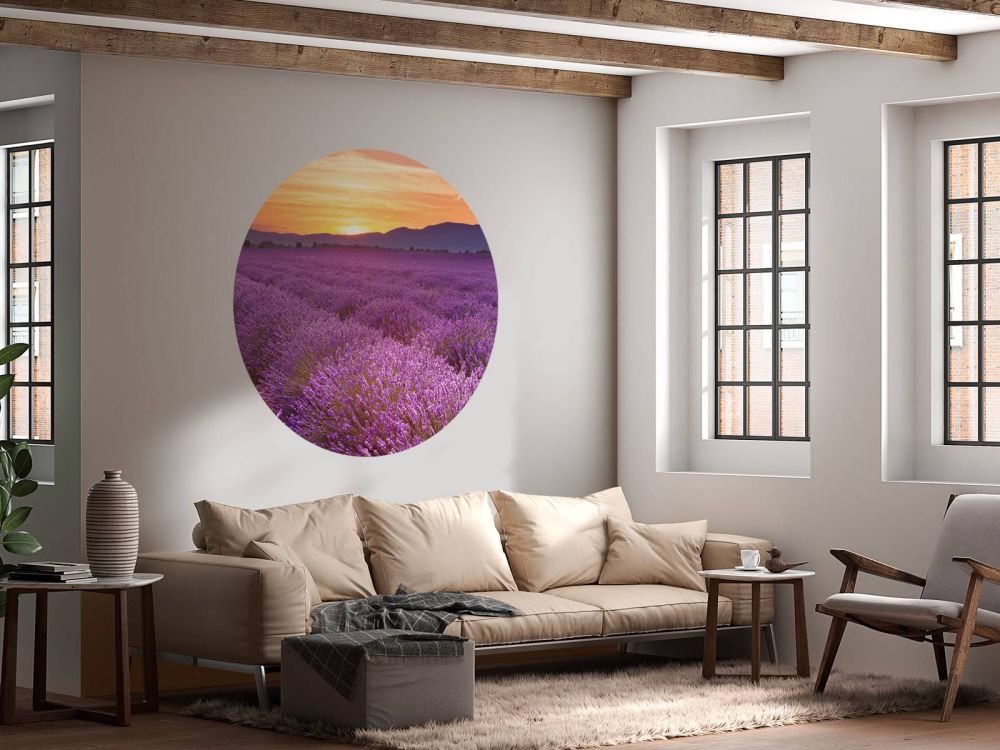 Veld vol lavendel