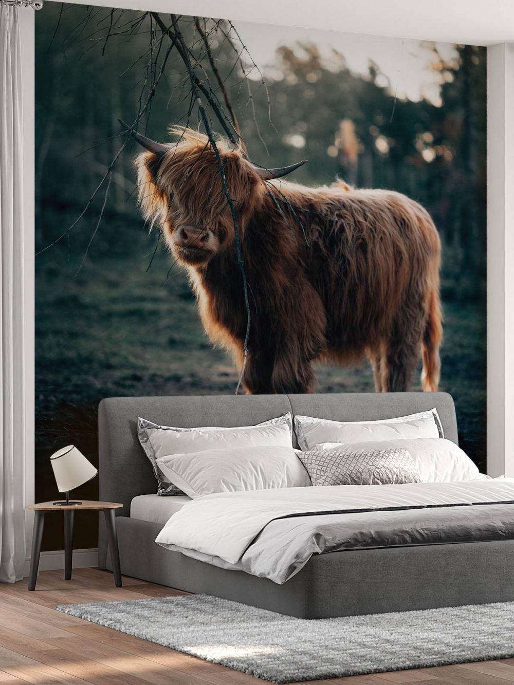 Schotse hooglander aan de bosrand