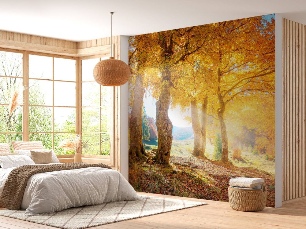 Warm herfstlandschap