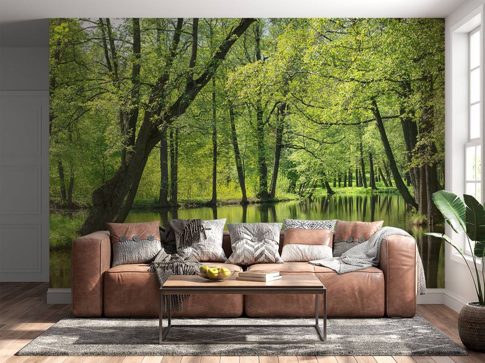 Zomers landschap