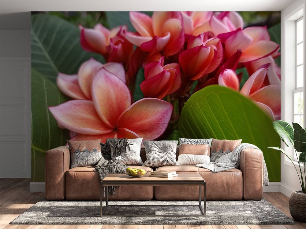 Tropische bloemen