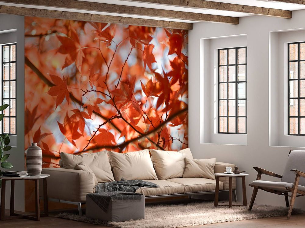 Kleurrijke herfstbladeren