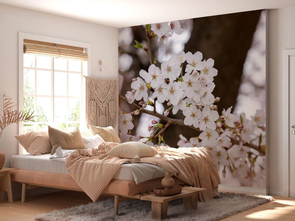 Witte bloesems