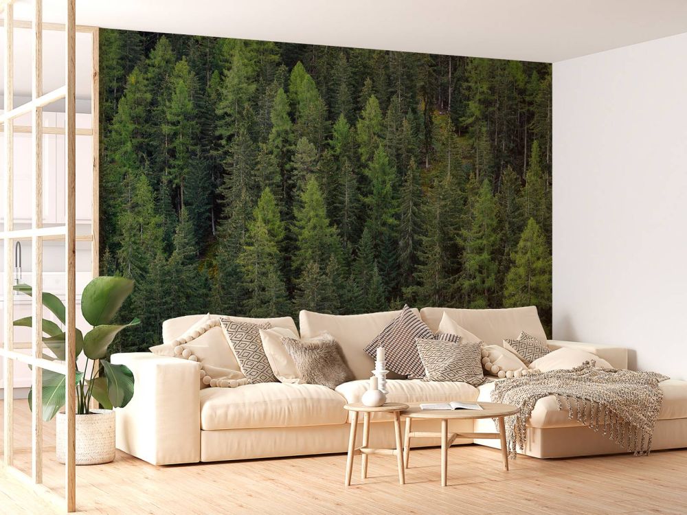 Groen sparrenbos