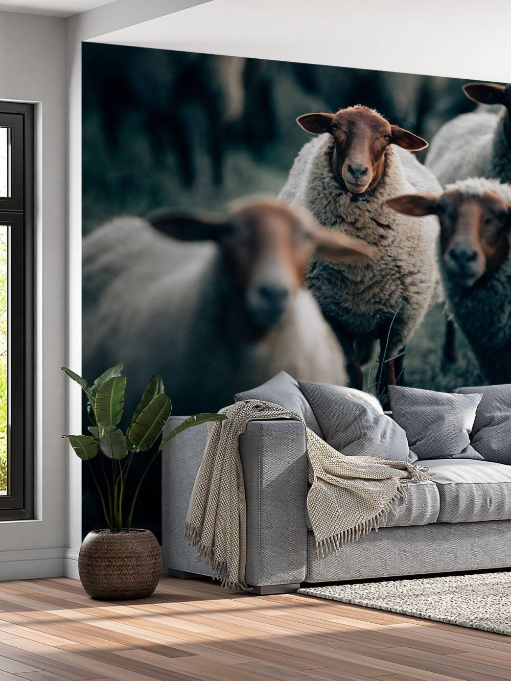 Blije schapen