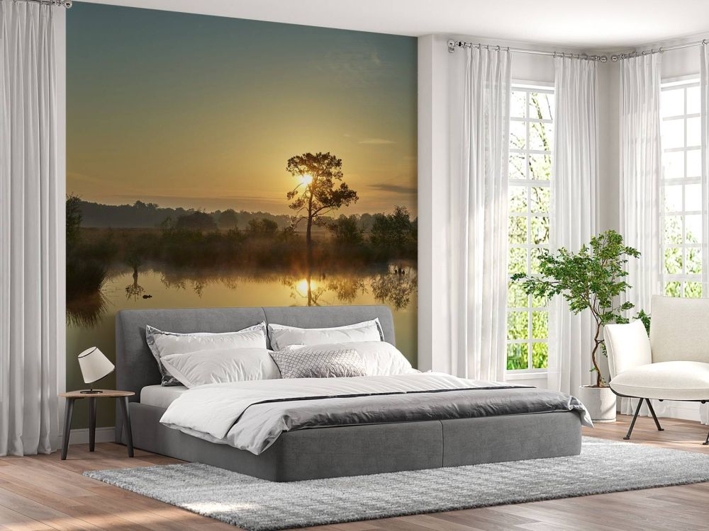 Zonsopkomst bij bosven