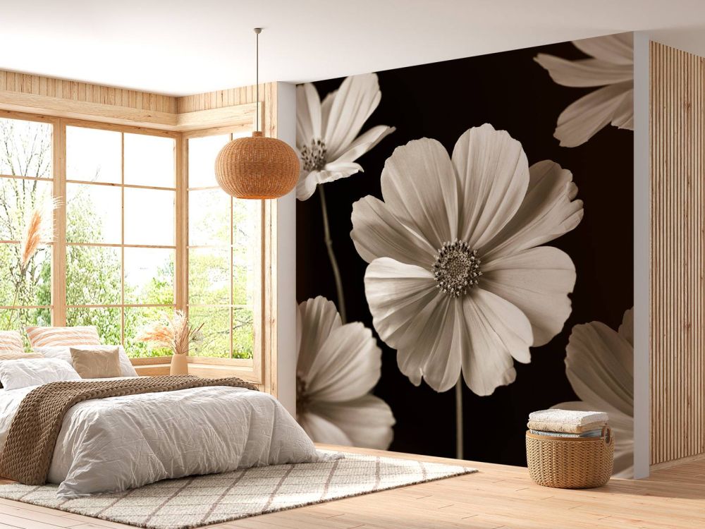 Meerder Cosmos bloemen