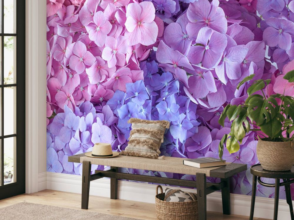 Kleurrijke hortensia's