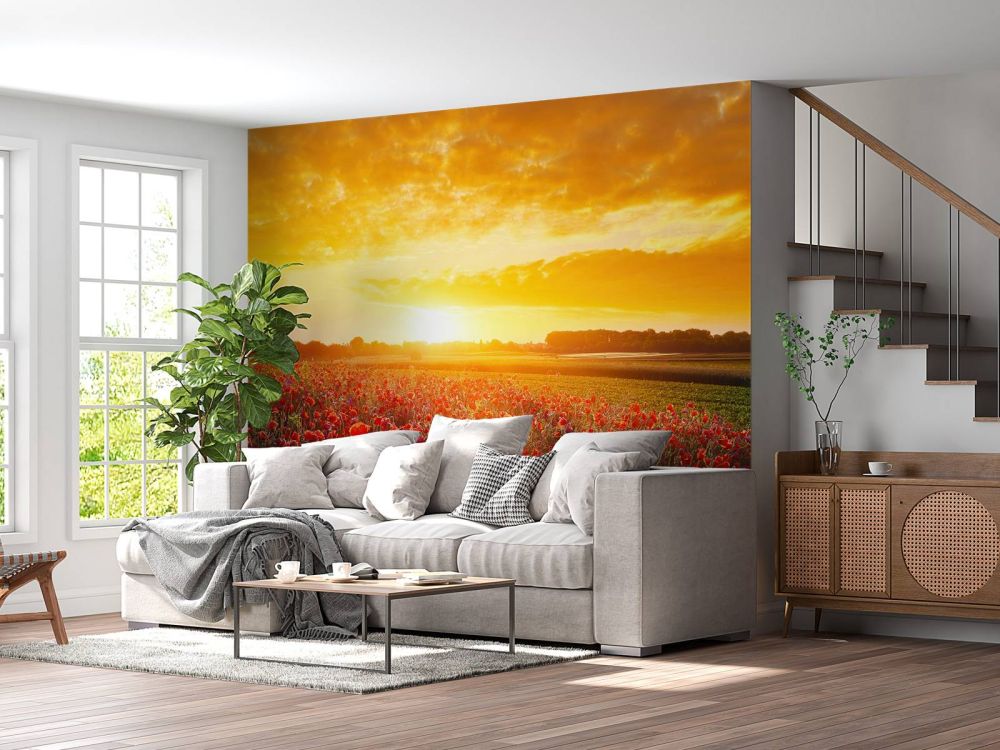 Klaprozen en zonsondergang
