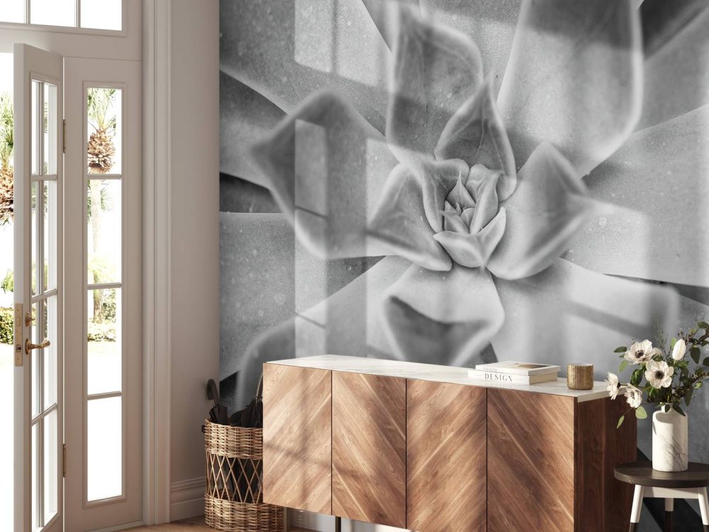 Vetplant in zwart wit