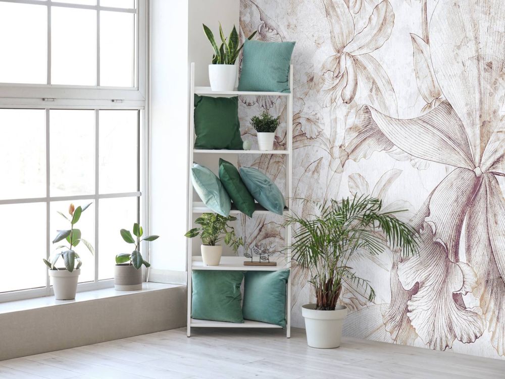 Orchids Contour 9