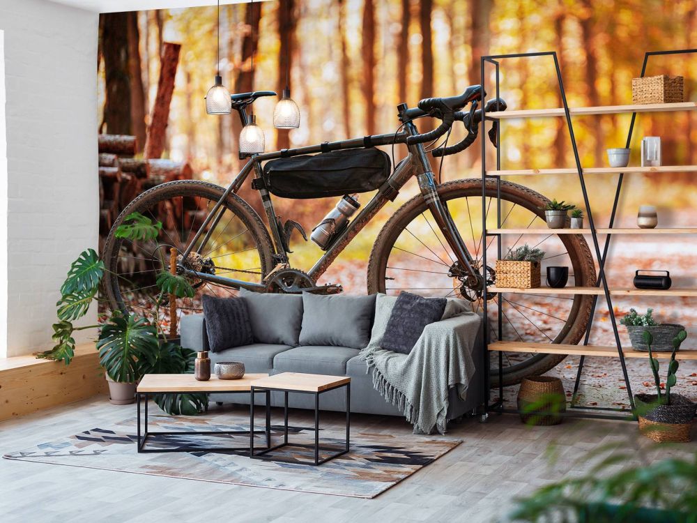 Fiets in de herfst