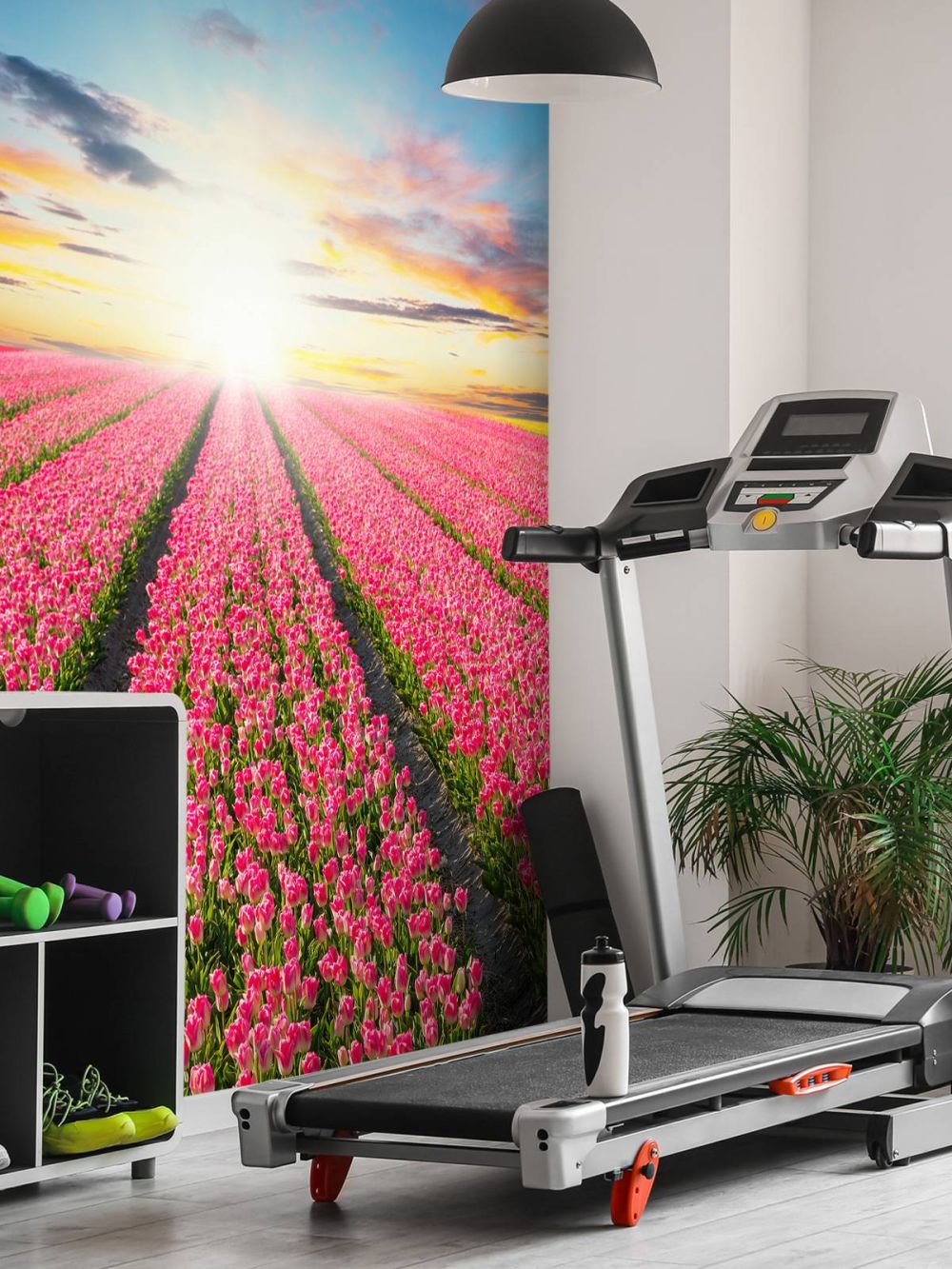 Tulpen met opkomende zon