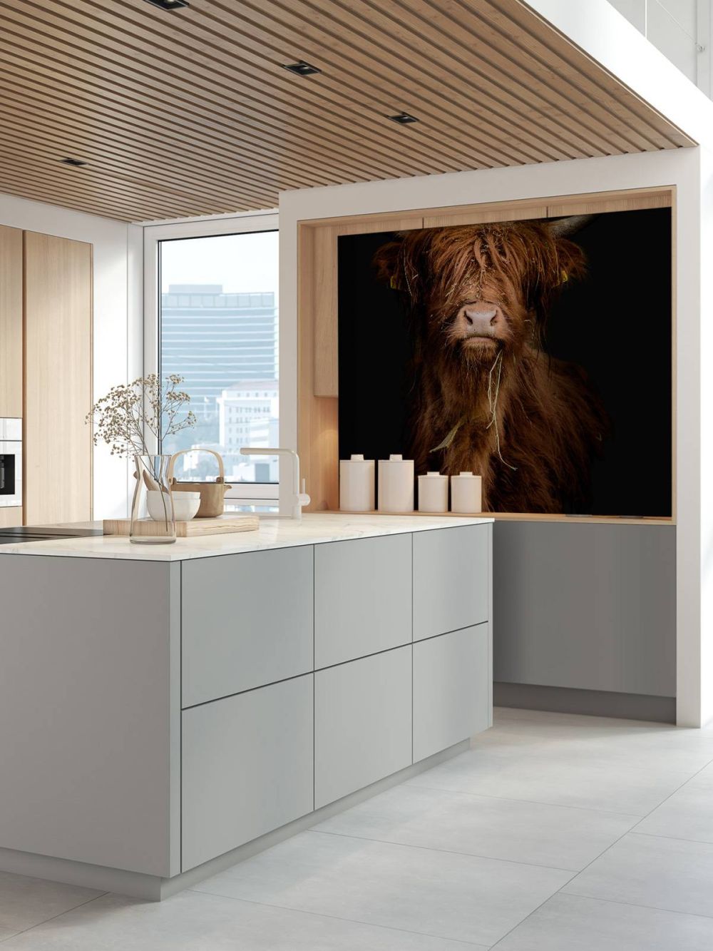 Portret Schotse hooglander