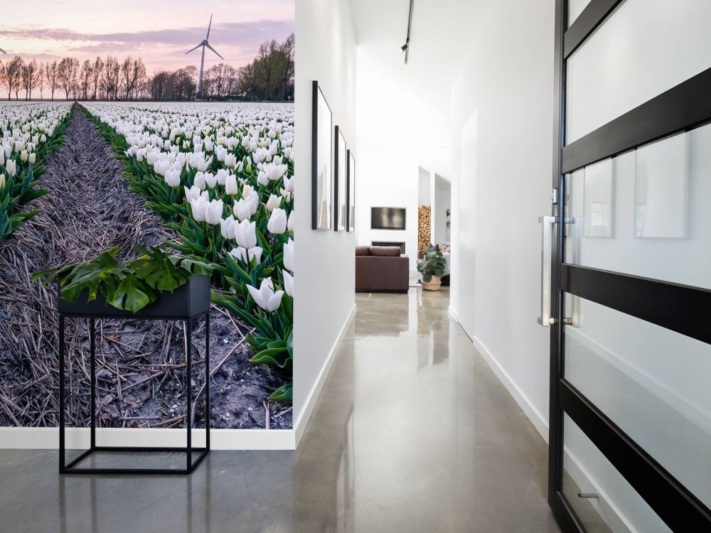 Wit tulpenveld