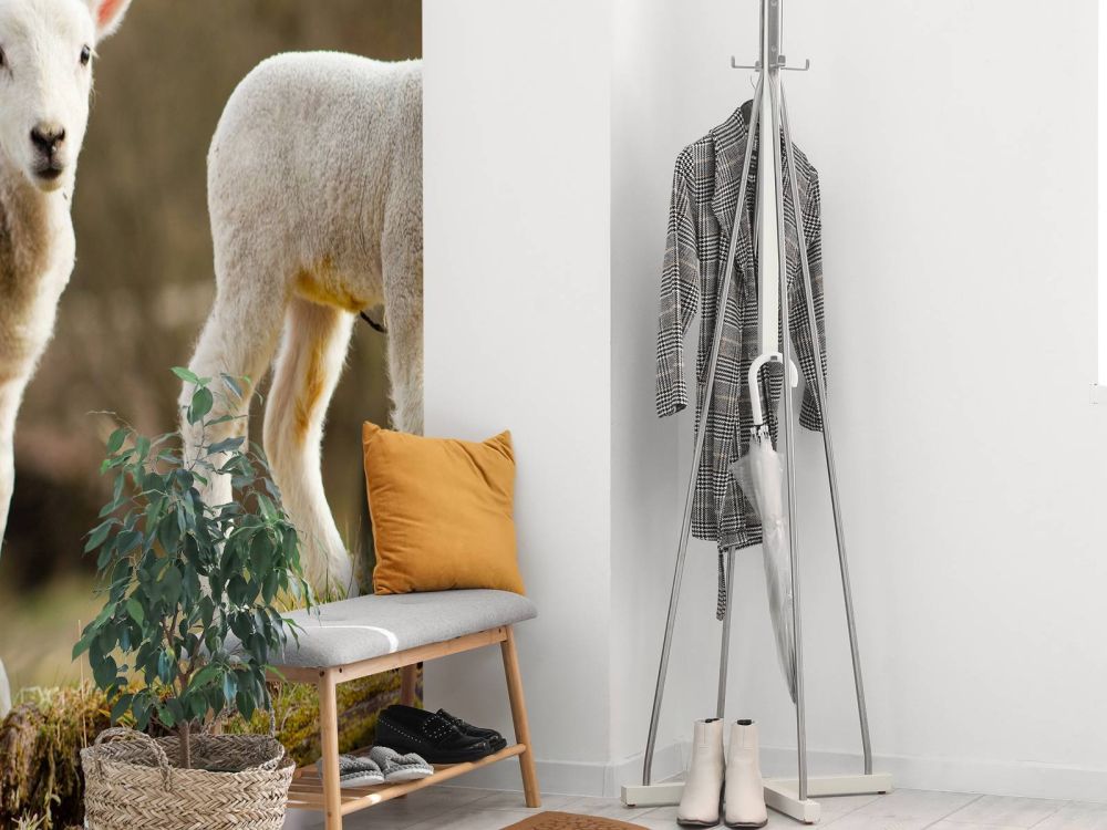 Witte lammetjes