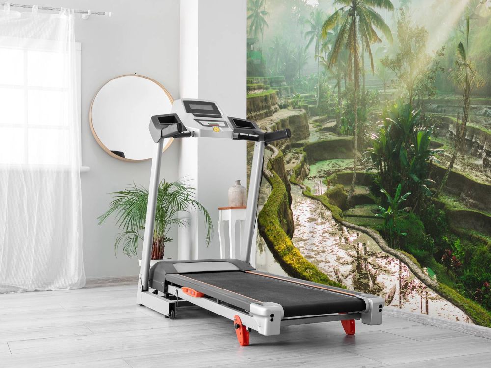 Rijstvelden in de jungle