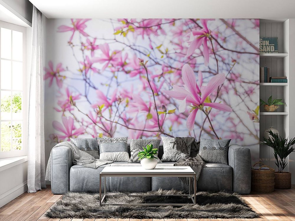 Magnolias