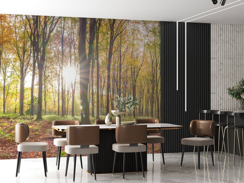 Zonlicht door herfstbos