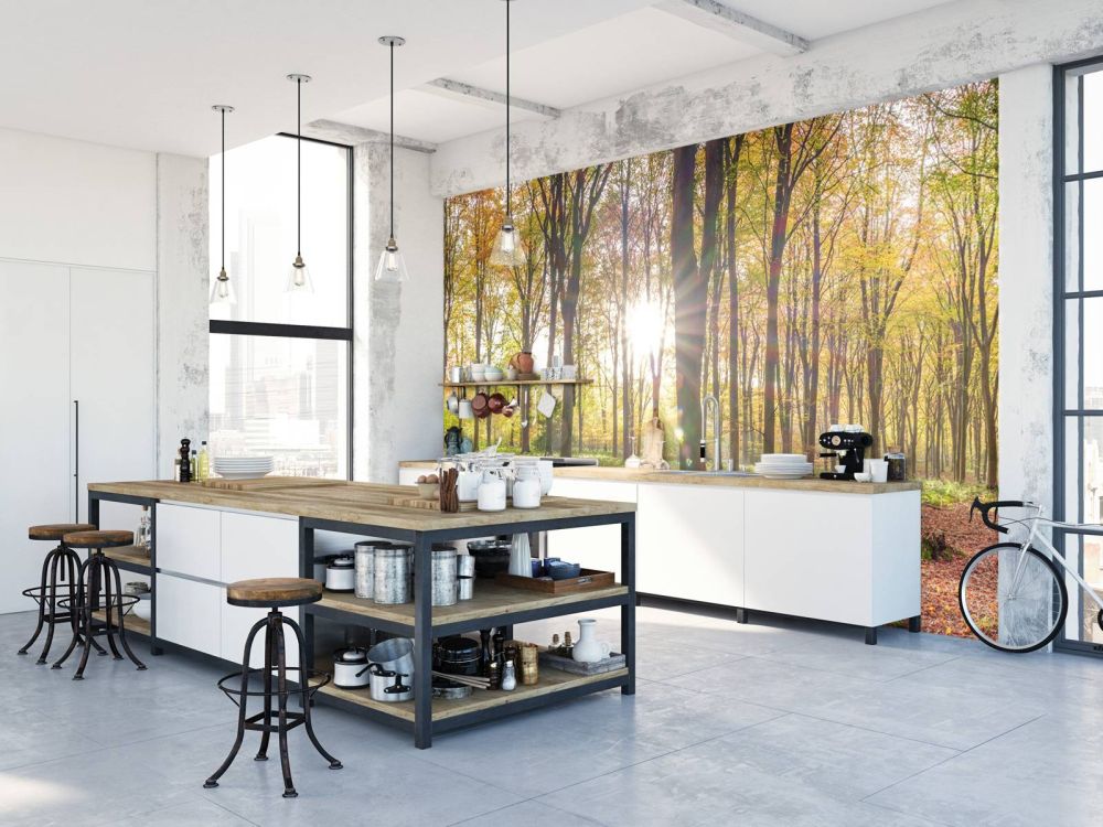 Zonlicht door herfstbos