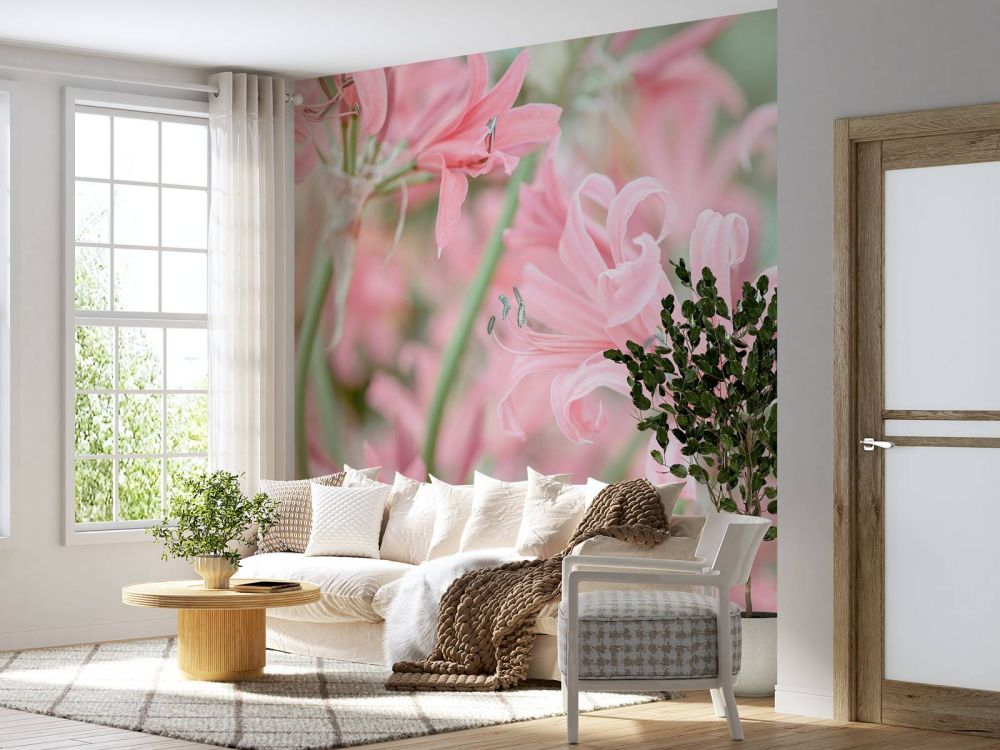 Nerine bloemen