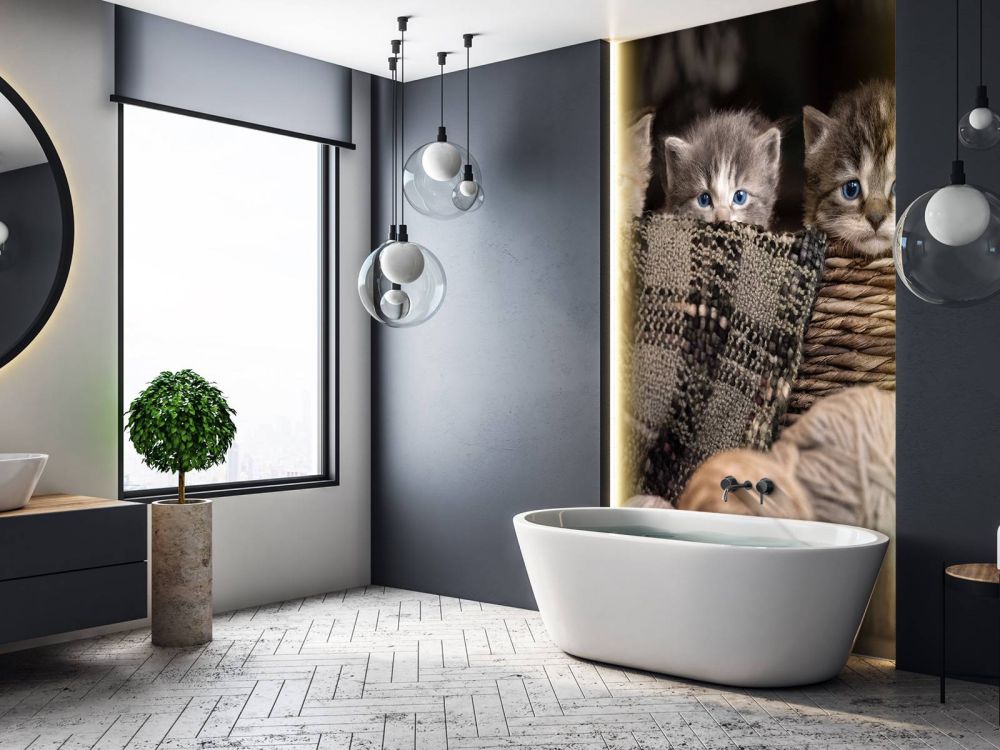 Drie poesjes in een mand