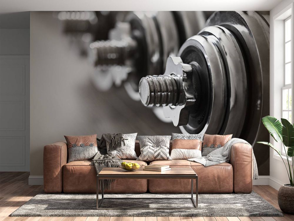 Klassieke dumbells 