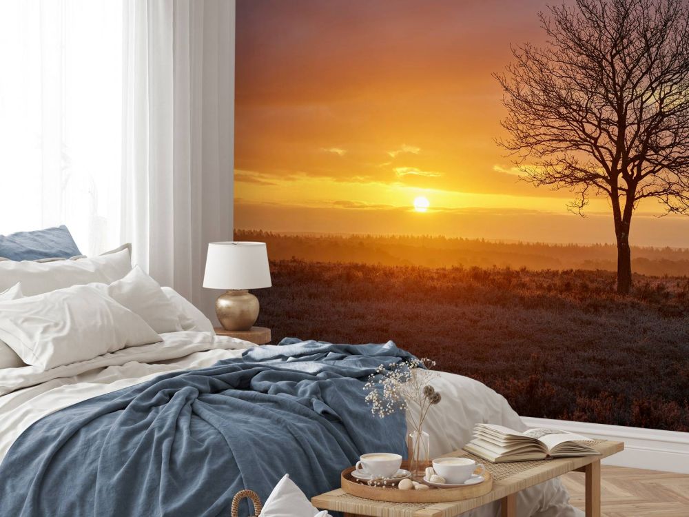 Kleurrijke zonsopgang op de heide