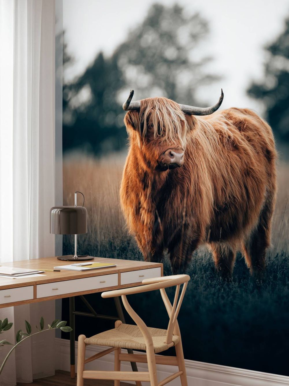 Portret van hooglanders