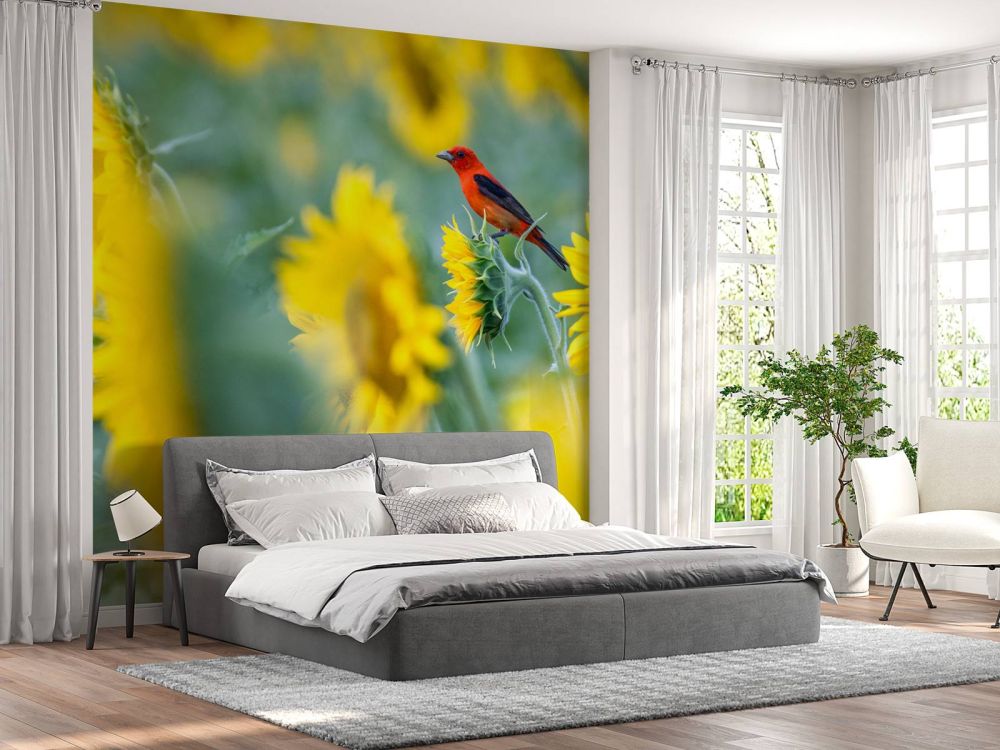 Zonnebloemenveld met rood vogeltje