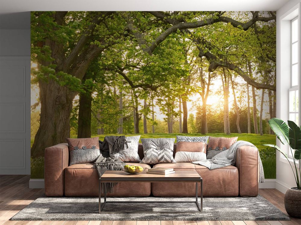 Fotobehang van een open plek in het bos