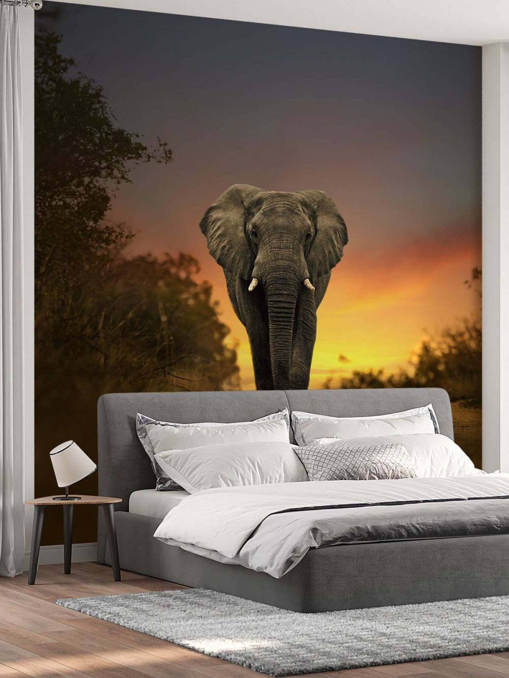 Olifant in de zonsondergang