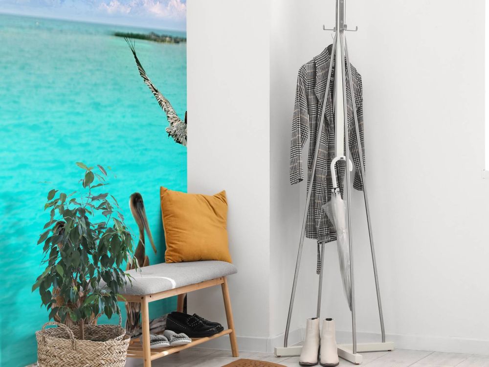 Caribische pelikaan