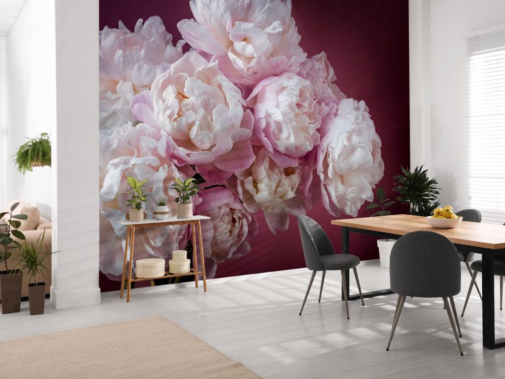 Bos roze pioenrozen