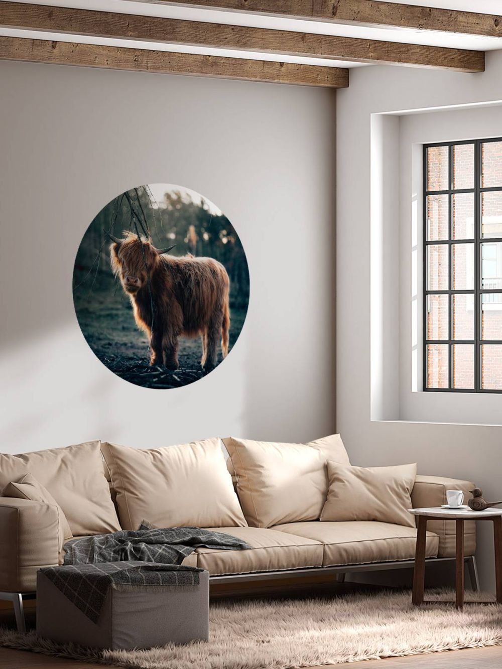 Schotse hooglander aan de bosrand