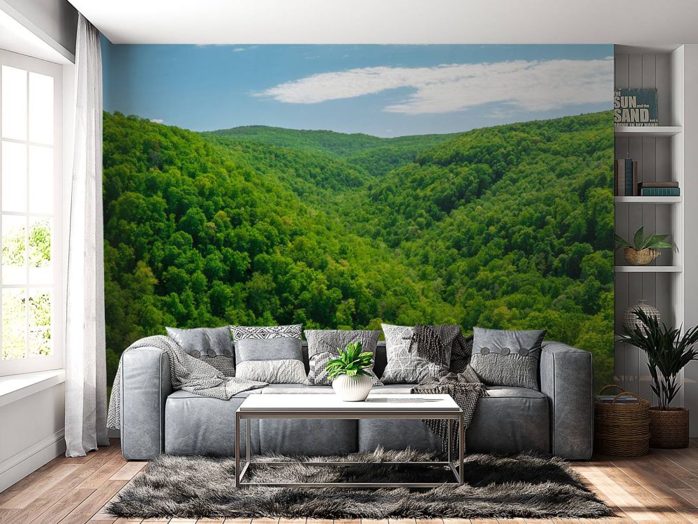 Whitaker Point