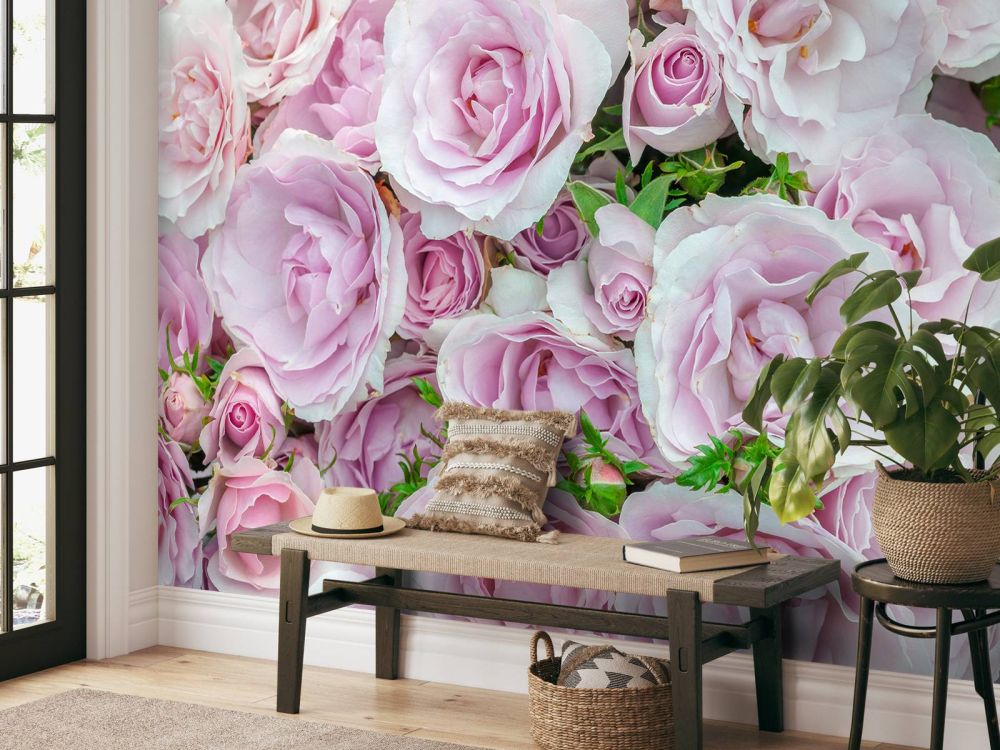 Kleurrijke witte en roze rozen