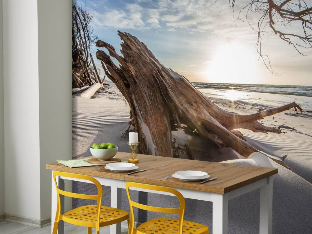 Hout in het zand