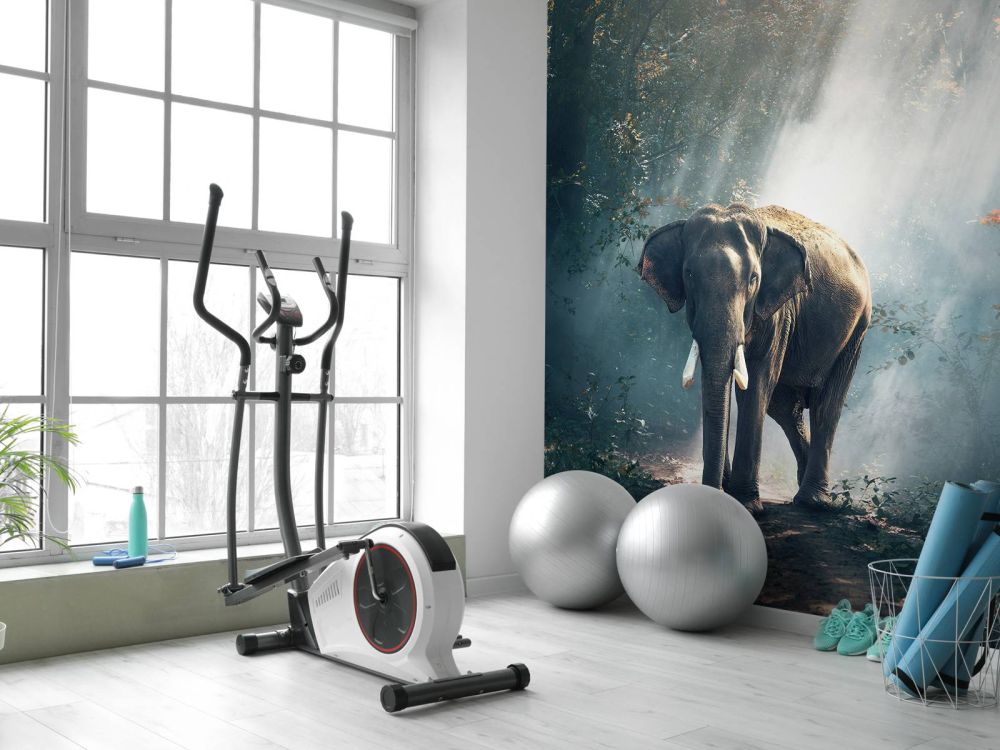 Olifant in een jungle
