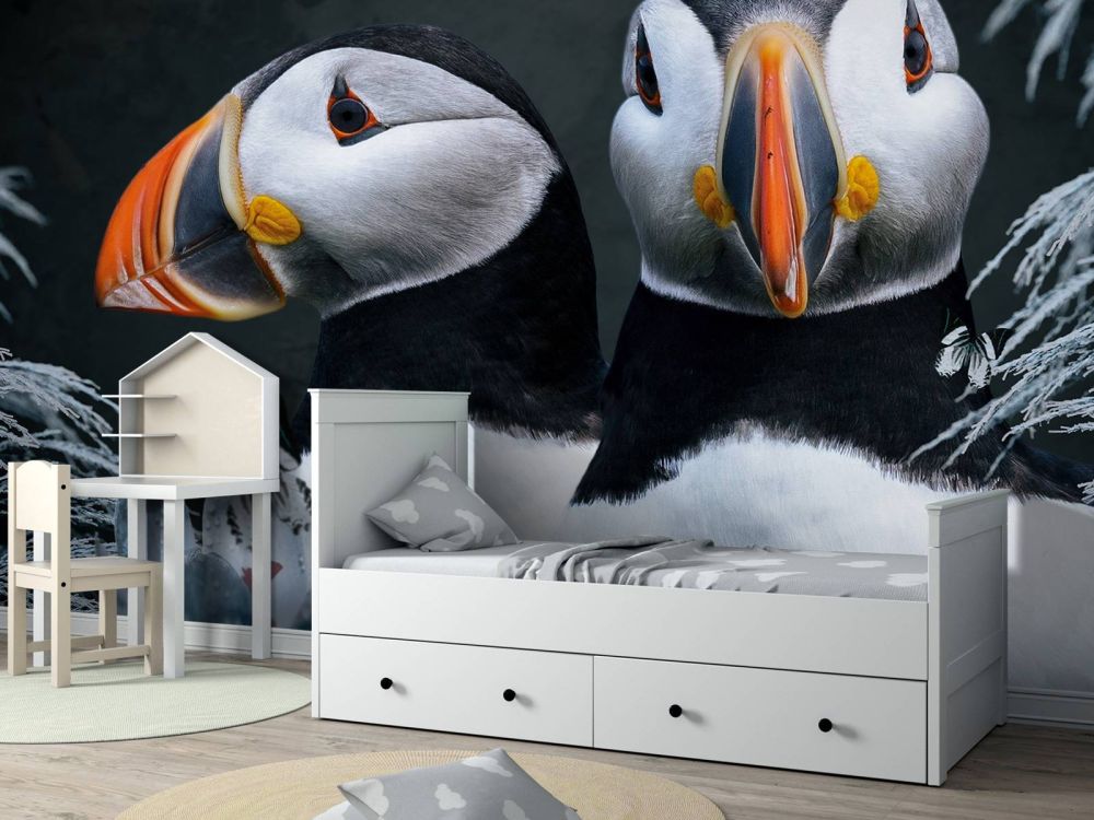 Atlantic Puffins