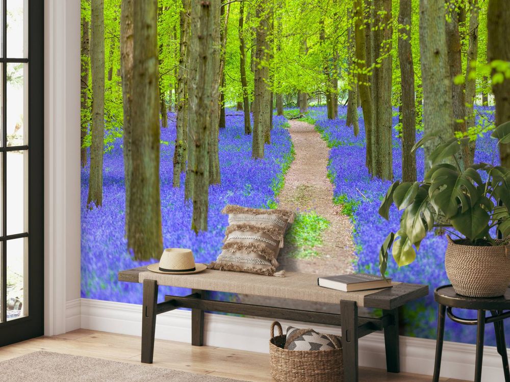 Bluebell path