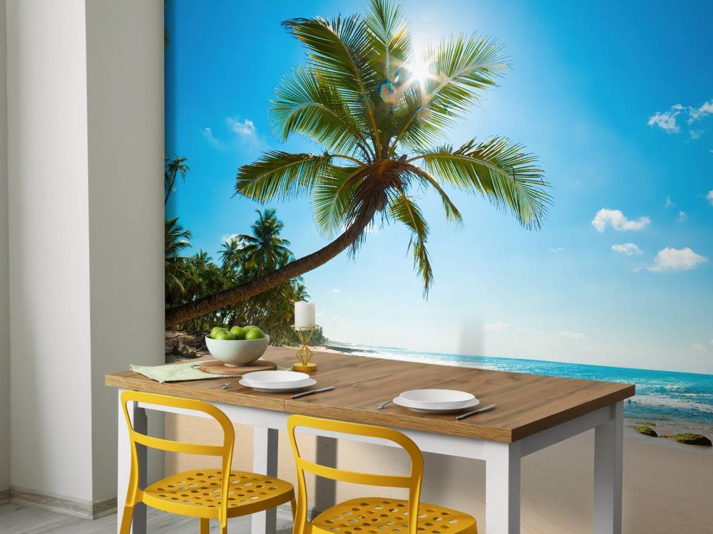 Grote palmboom