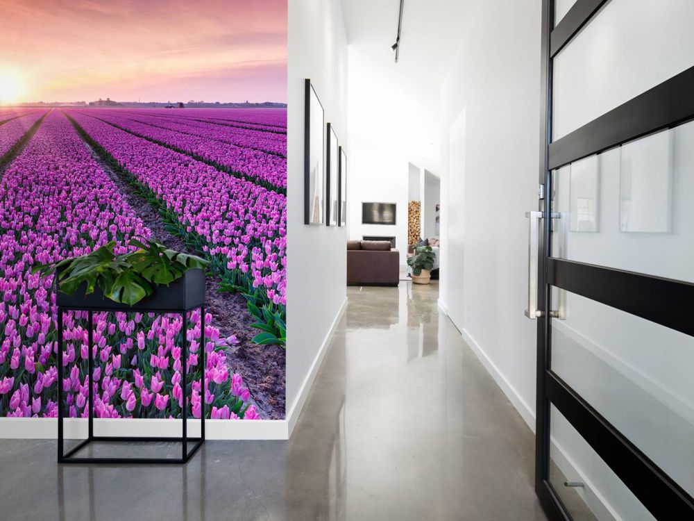 Tulpenveld bij zonsopkomst
