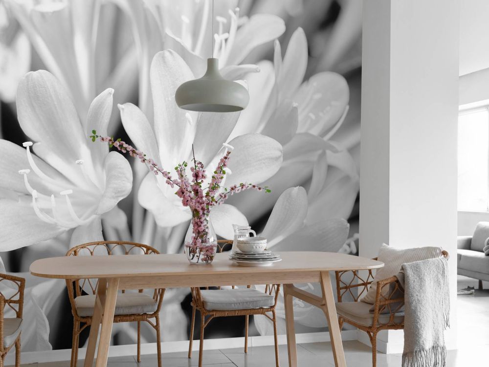 Bloemen in bloei, zwart-wit