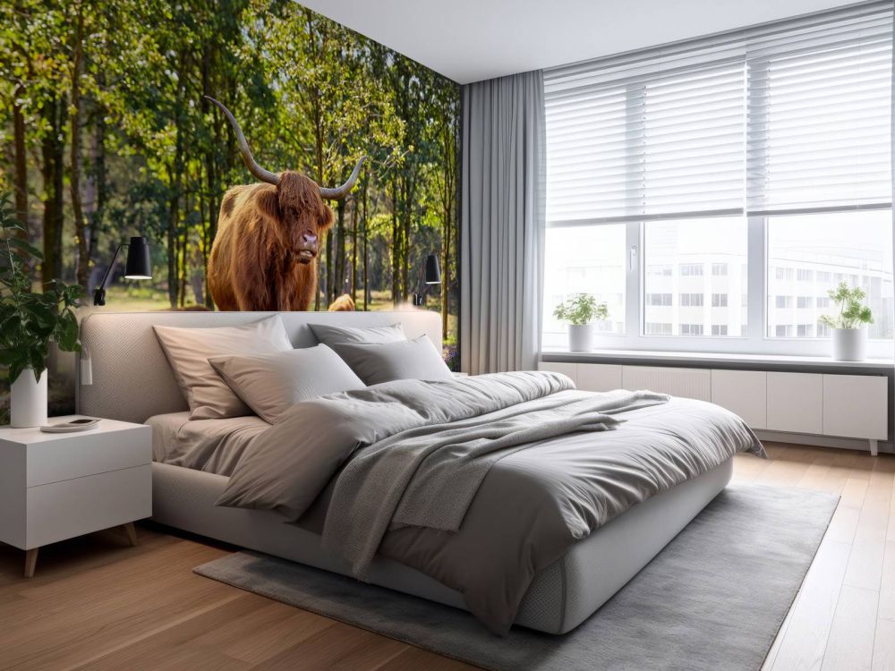 Hooglanders in natuurgebied
